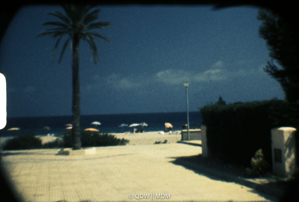 Frame 0214