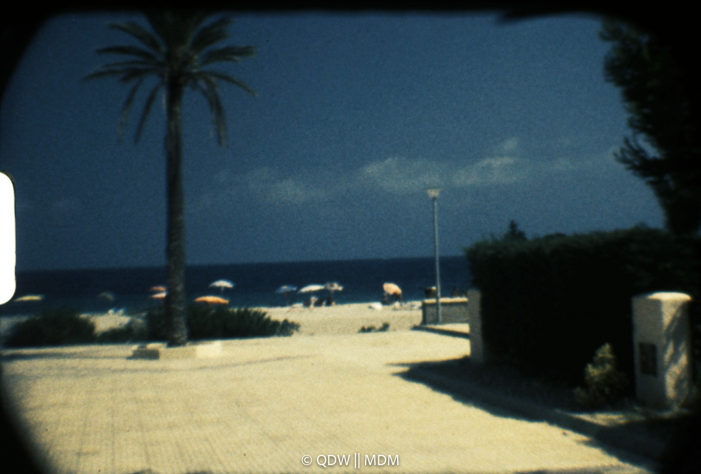 Frame 0219