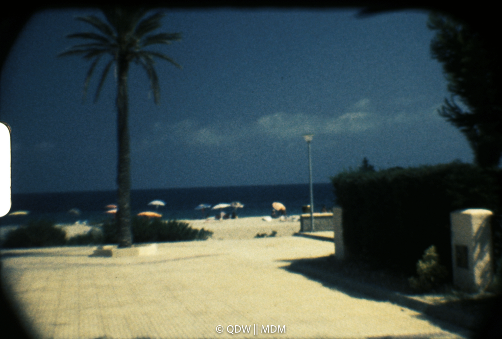 Frame 0221