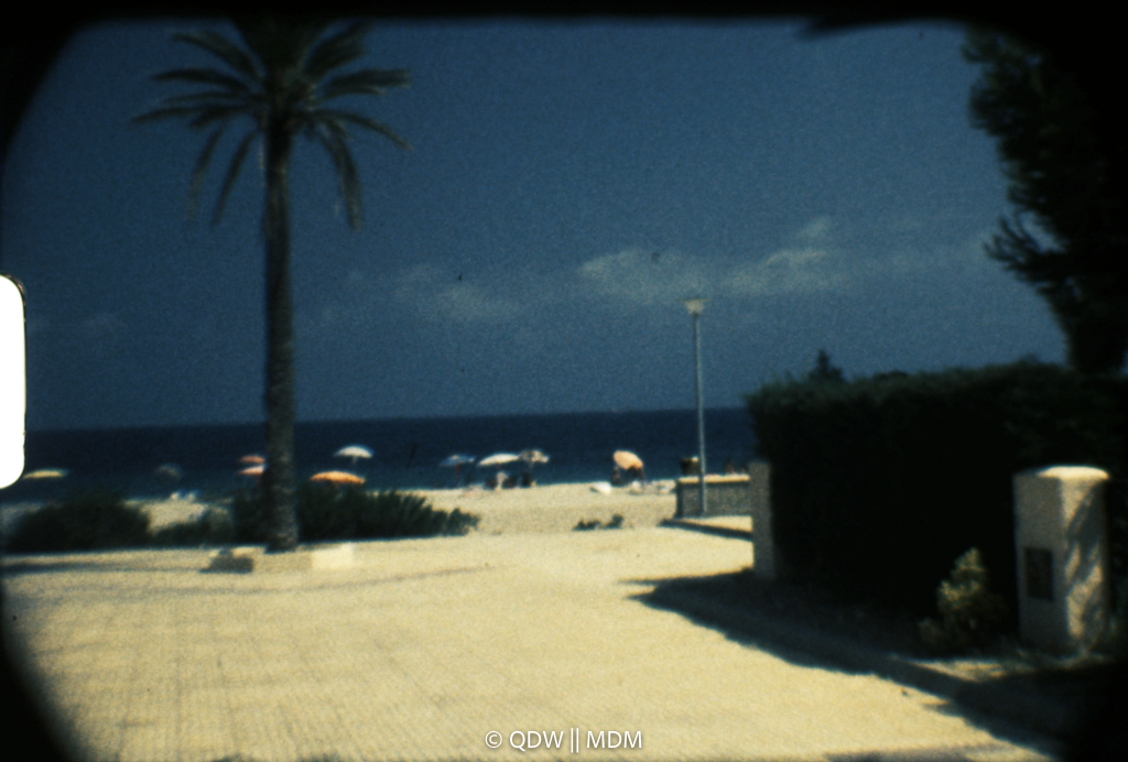Frame 0225