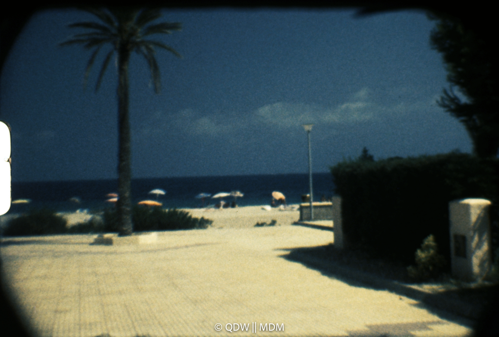 Frame 0234