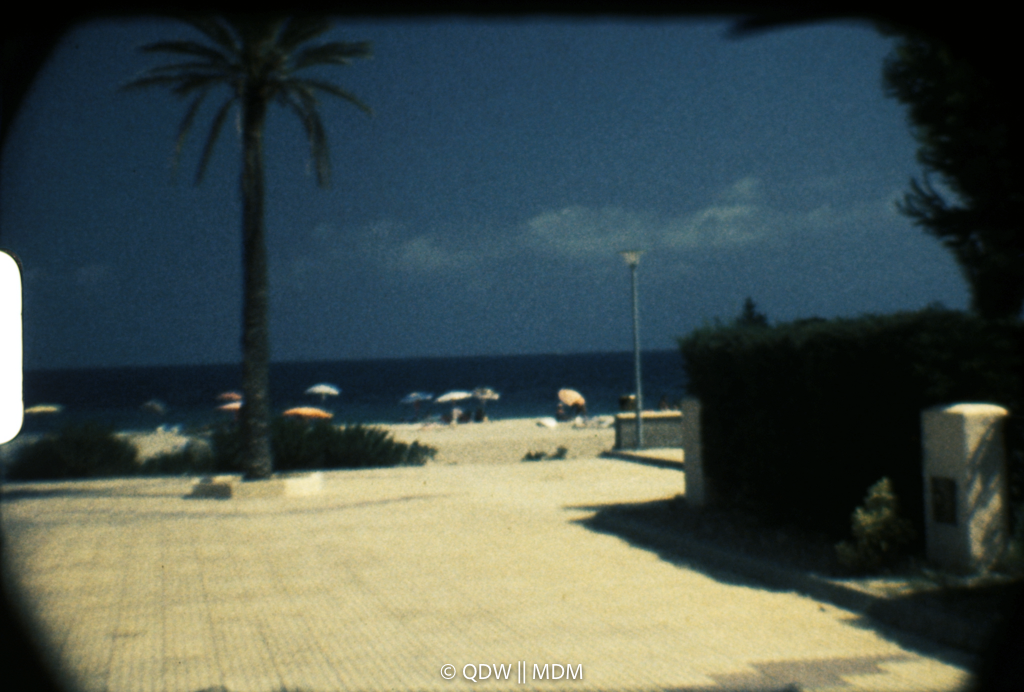 Frame 0235