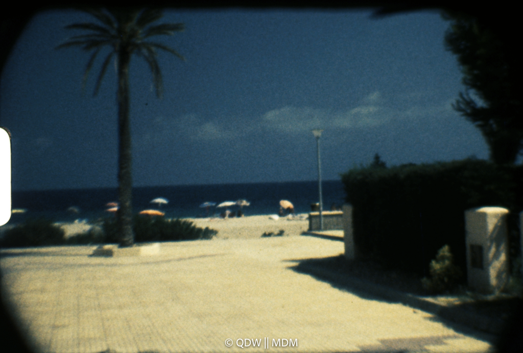 Frame 0239