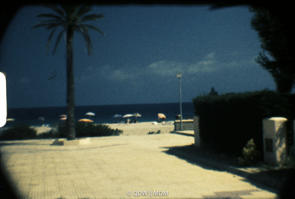 Frame 0241