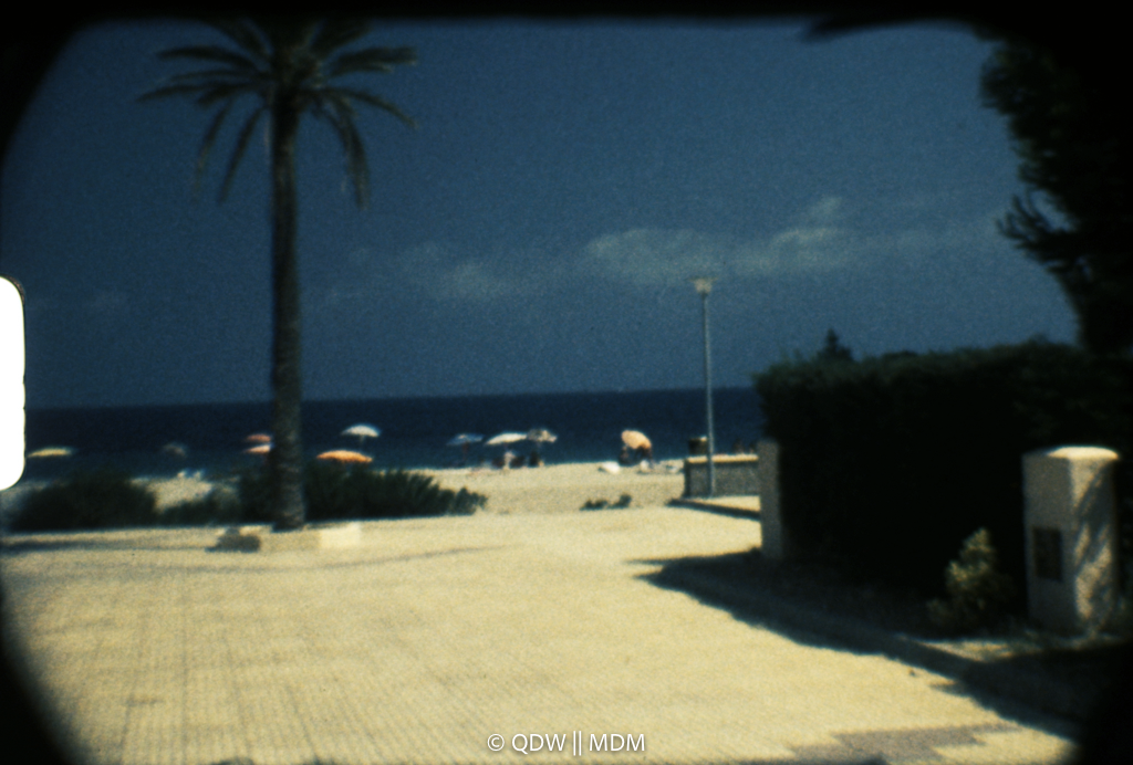 Frame 0255
