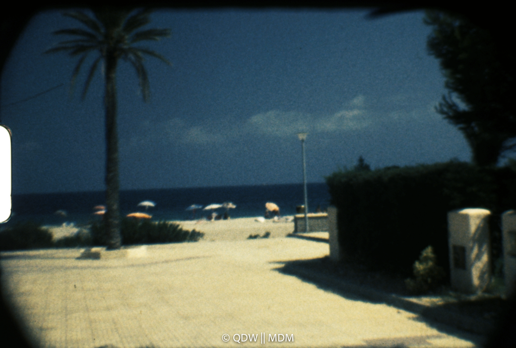 Frame 0261