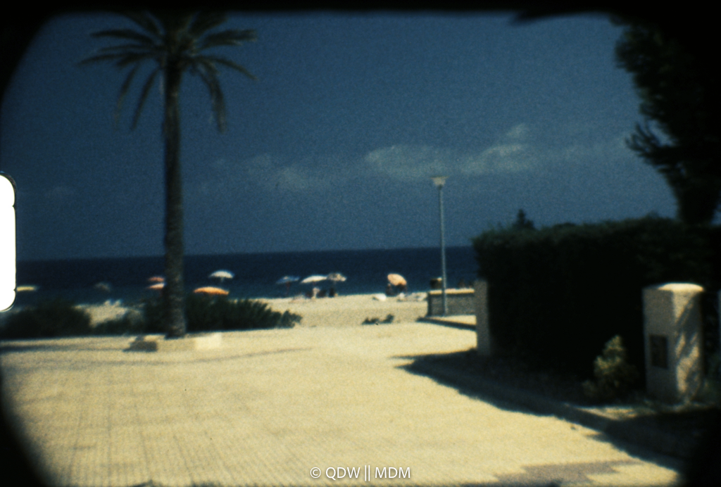Frame 0264