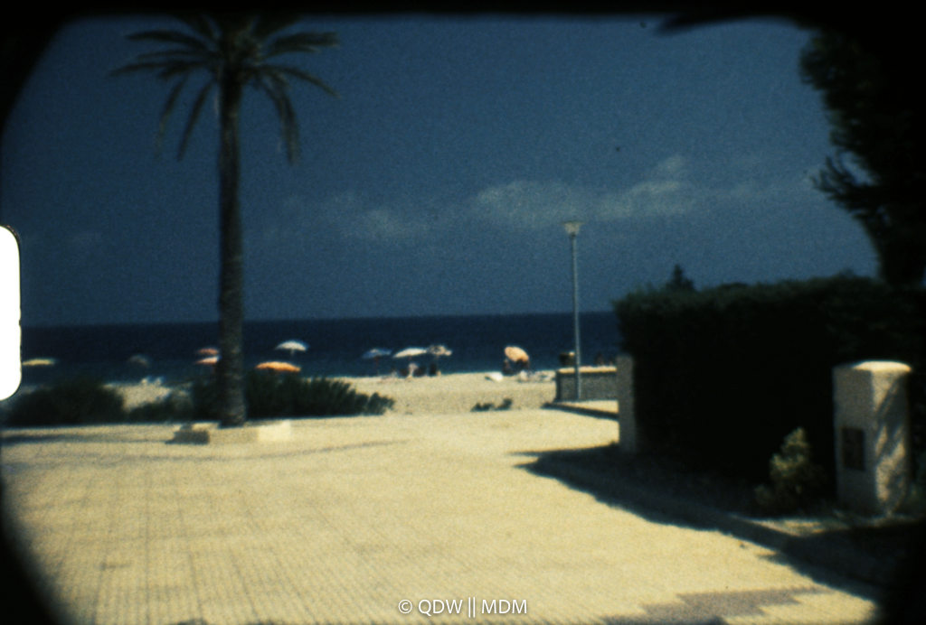 Frame 0273