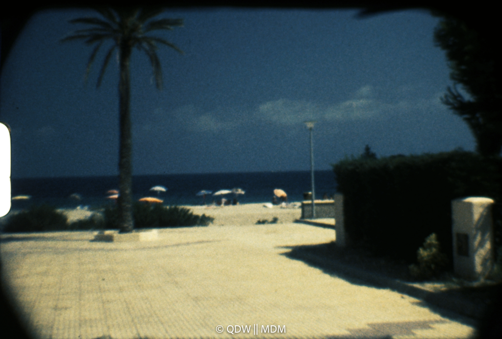 Frame 0276
