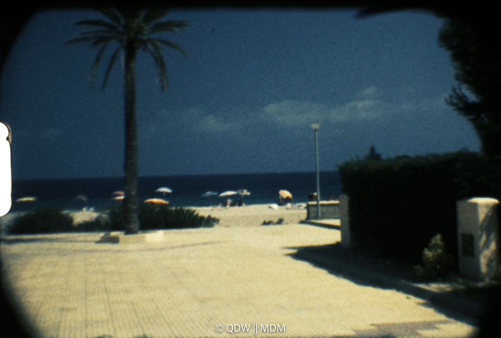 Frame 0281