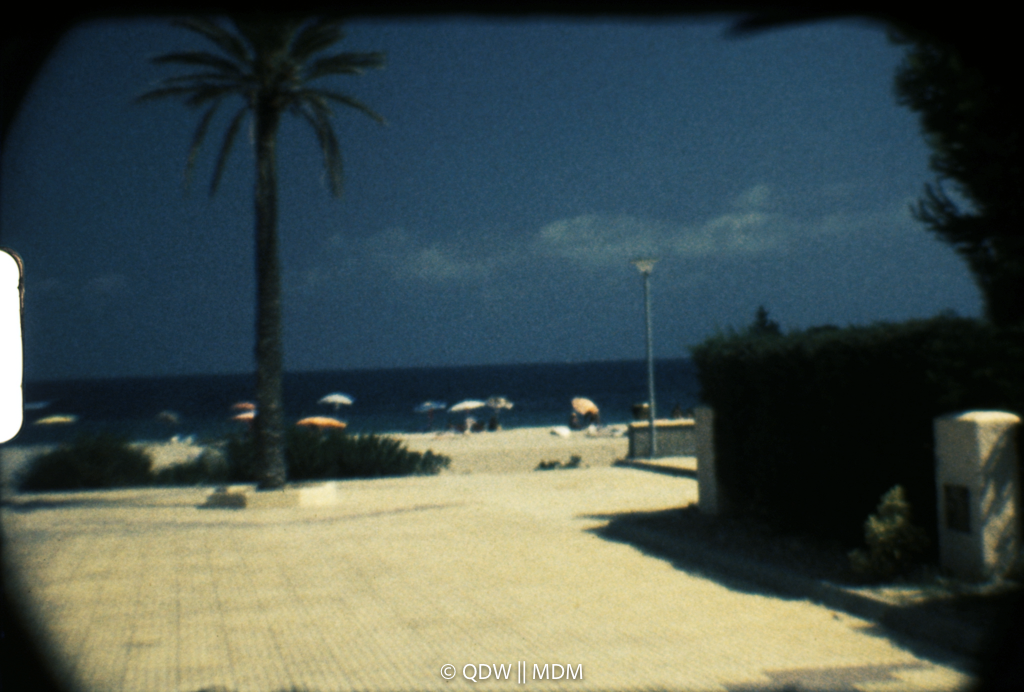 Frame 0290
