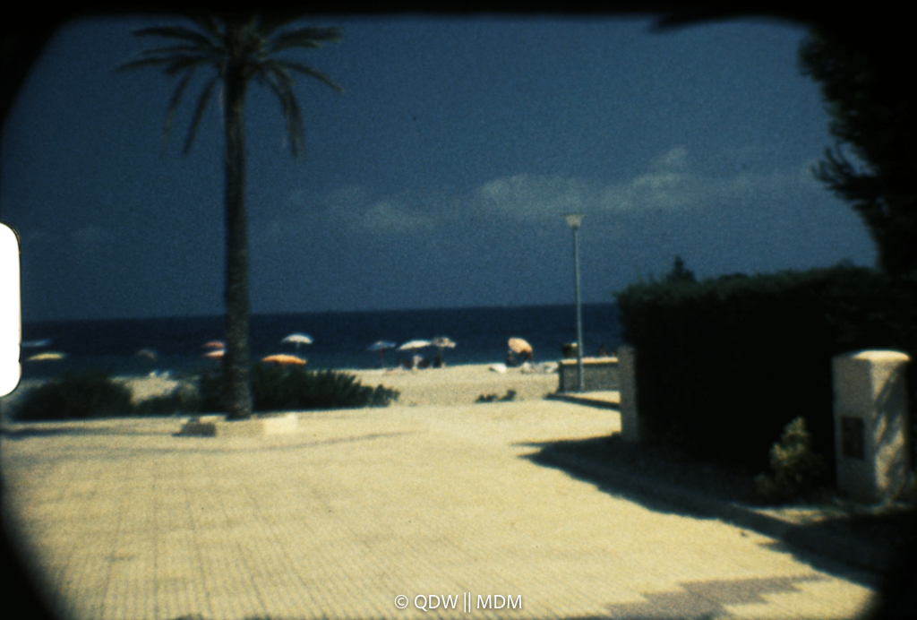 Frame 0295