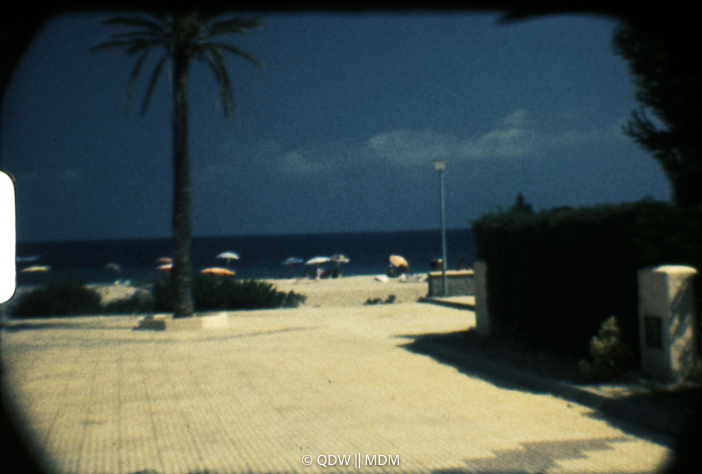 Frame 0297