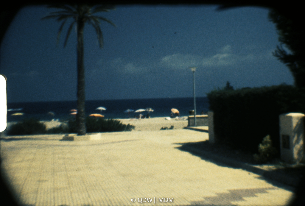 Frame 0300