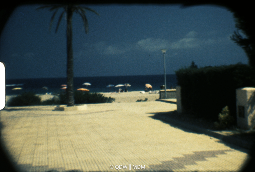 Frame 0305