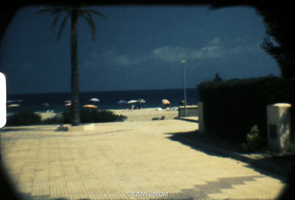 Frame 0307