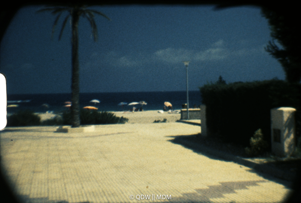 Frame 0323