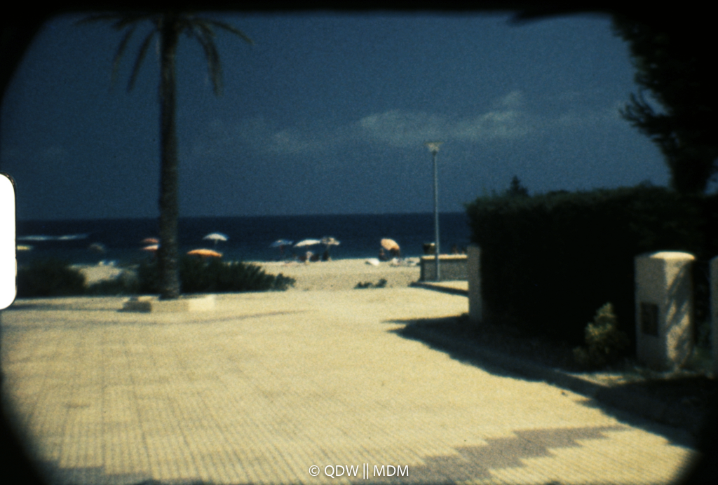 Frame 0341