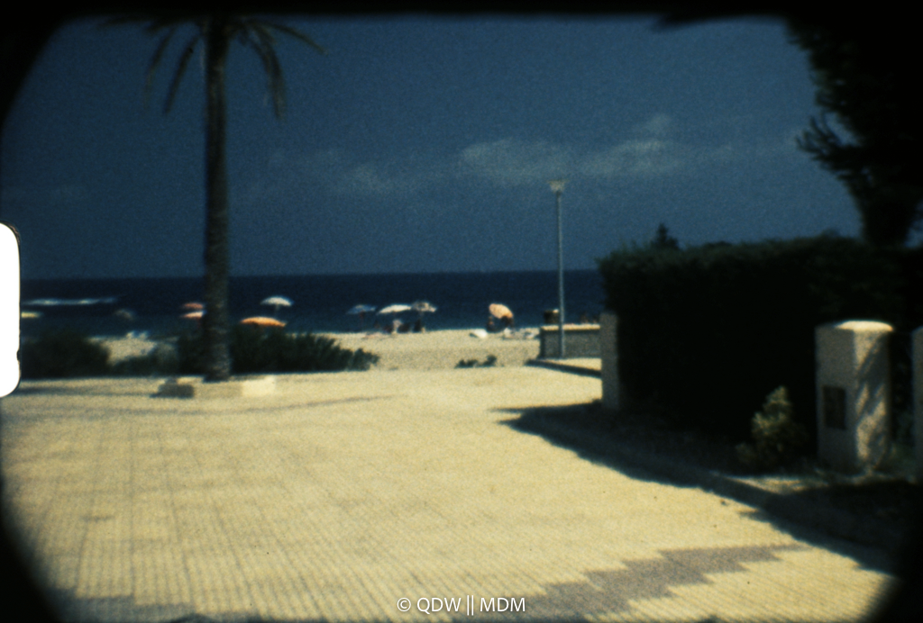 Frame 0343