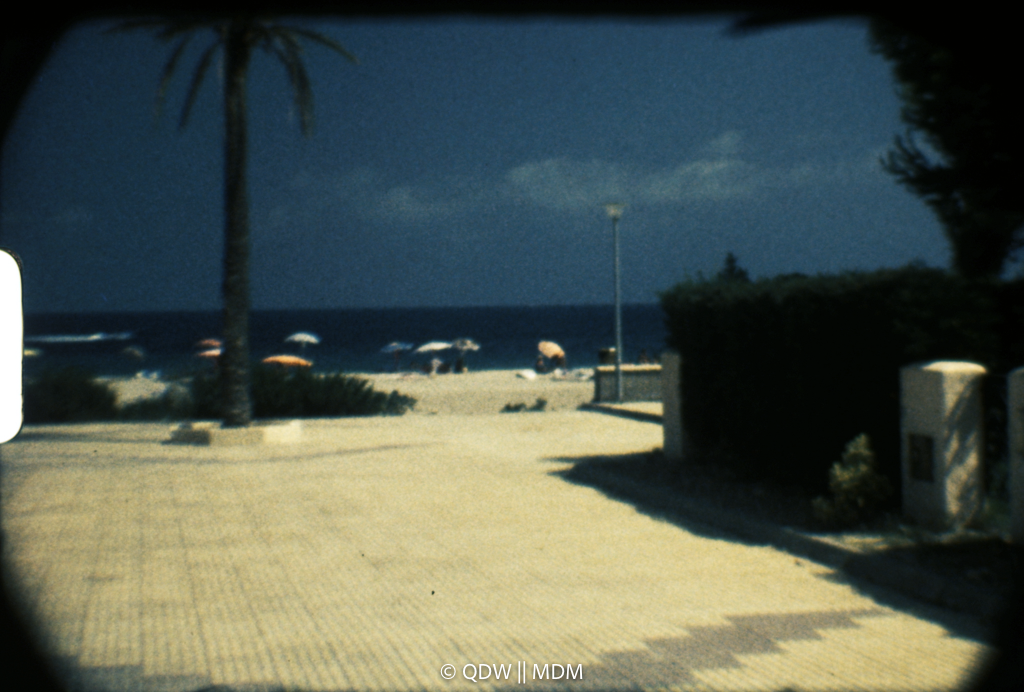 Frame 0347