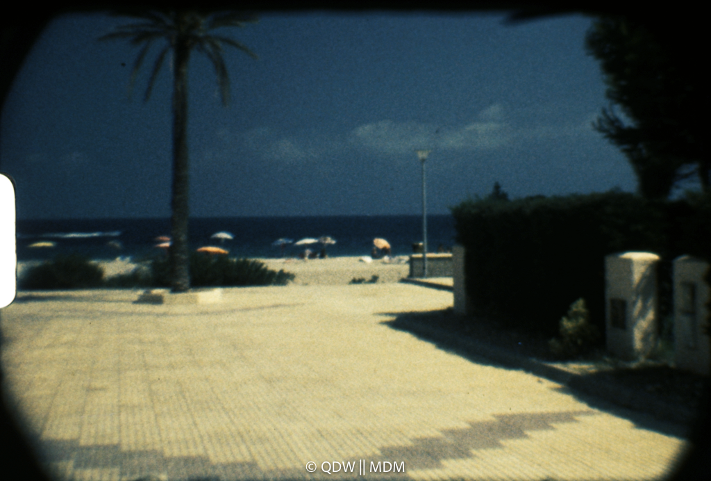 Frame 0352