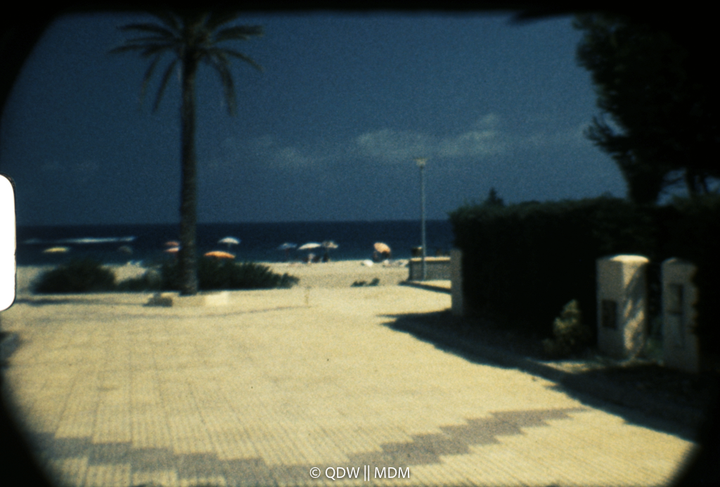 Frame 0355