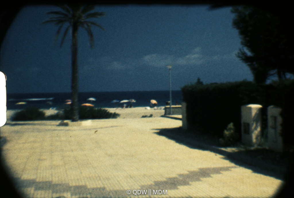 Frame 0356