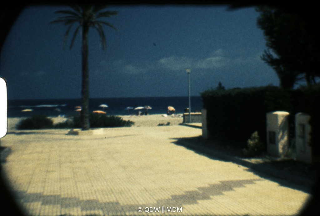 Frame 0364