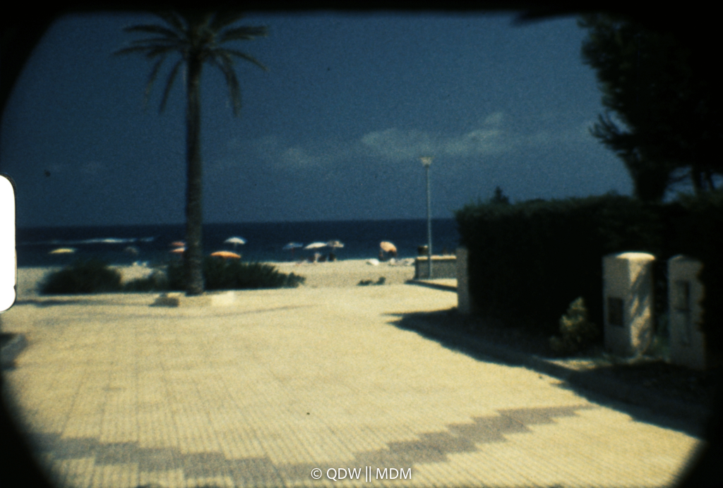 Frame 0366