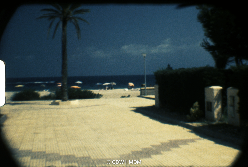 Frame 0374