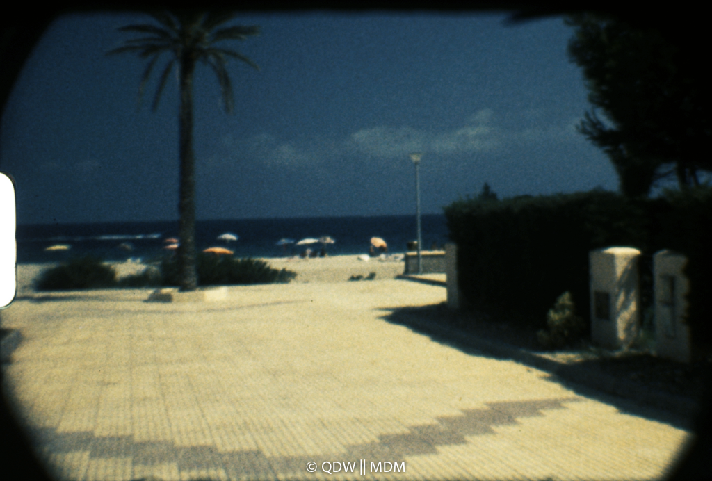 Frame 0376