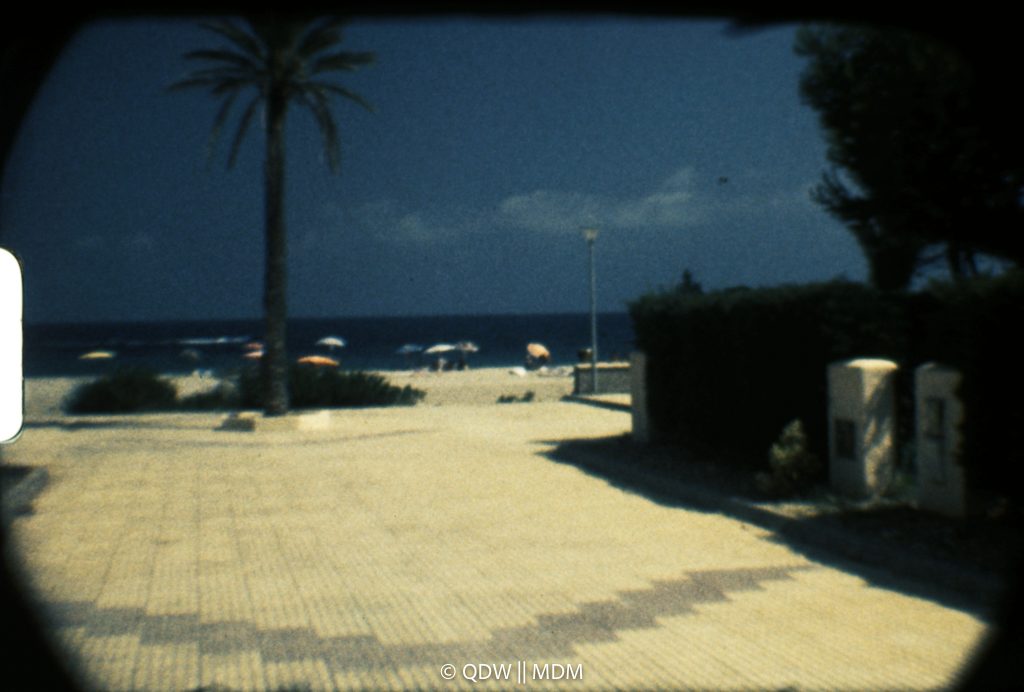 Frame 0384