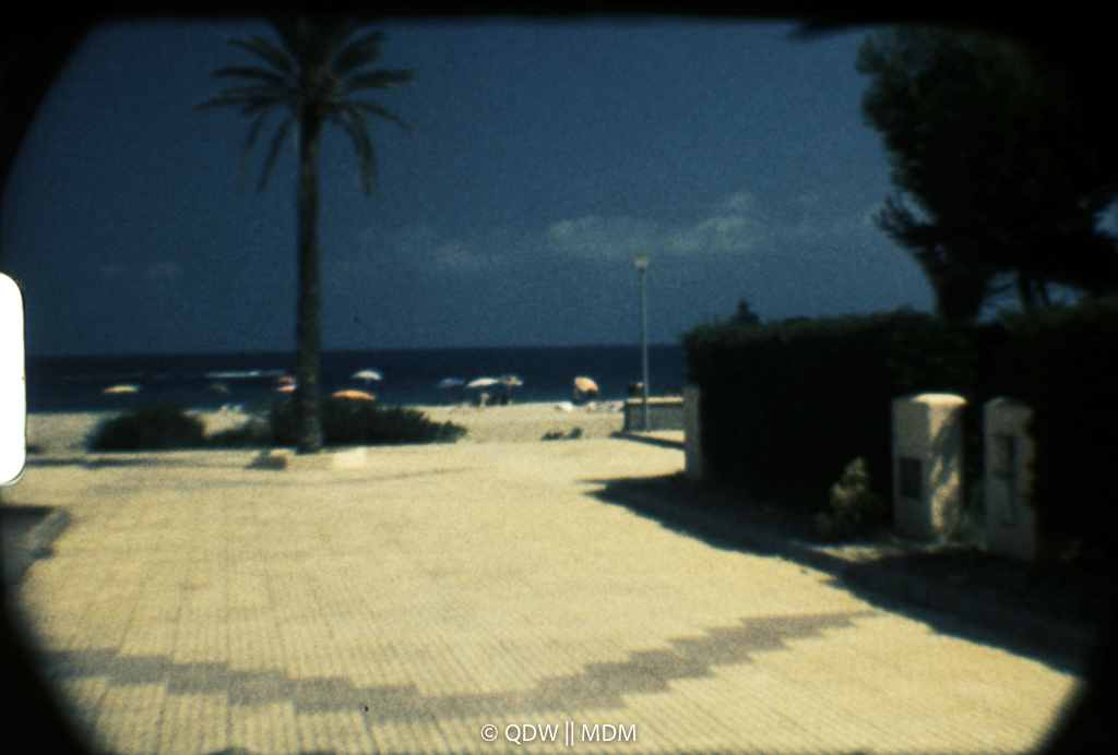 Frame 0385