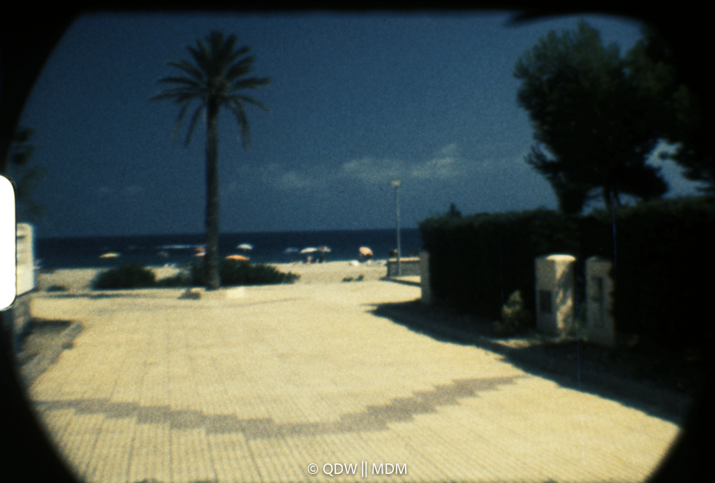 Frame 0398