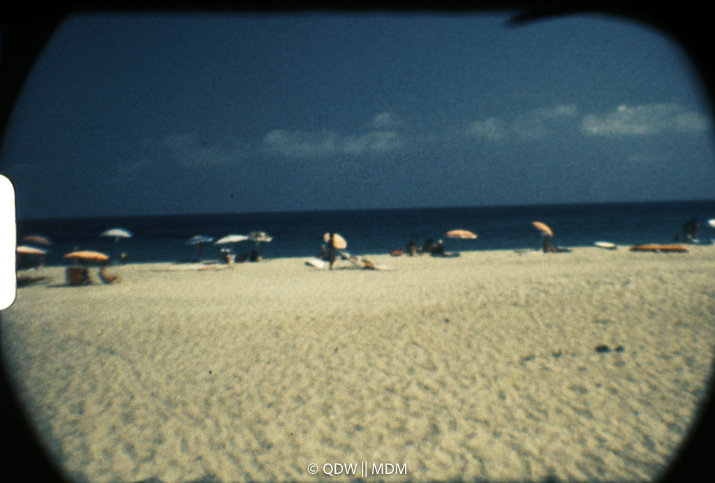 Frame 0431