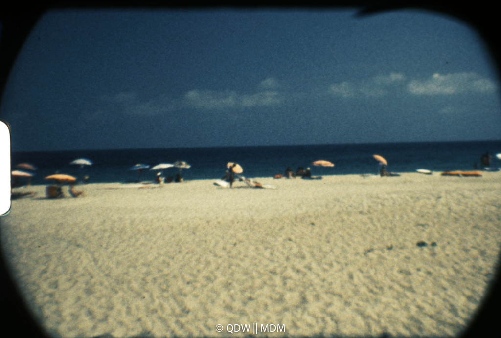 Frame 0447