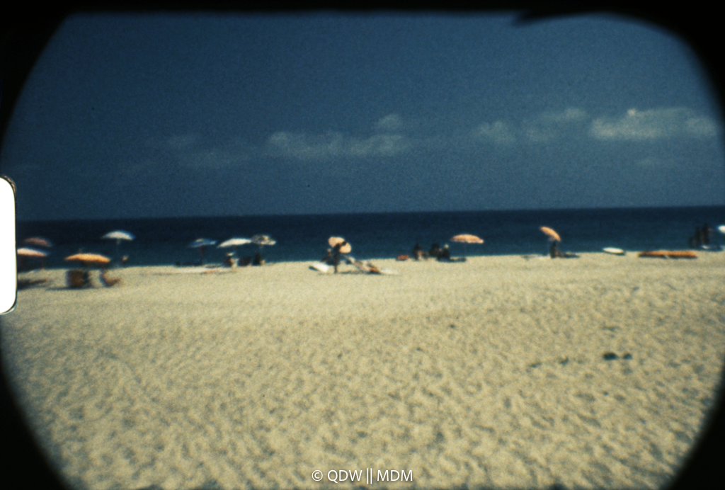 Frame 0458
