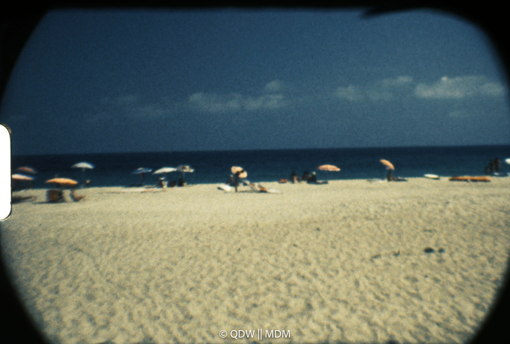 Frame 0459