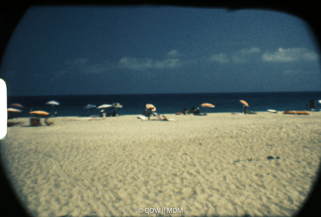 Frame 0477