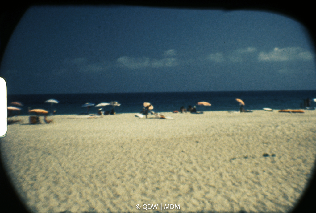 Frame 0481