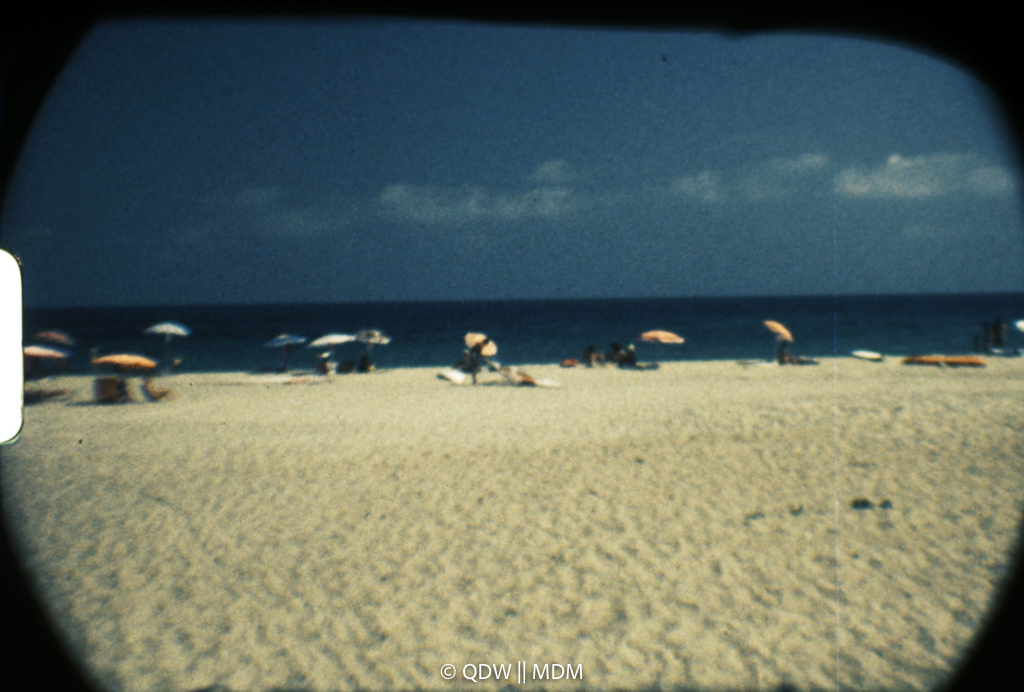 Frame 0482