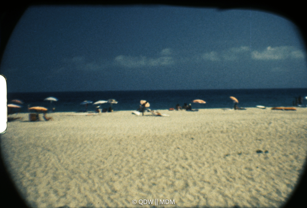 Frame 0483