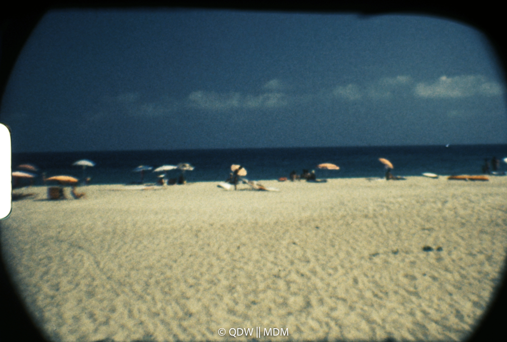 Frame 0489