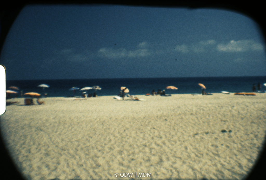Frame 0492