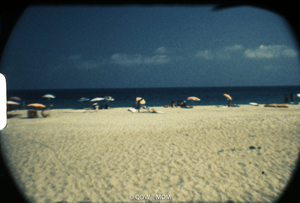 Frame 0494