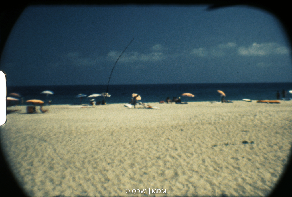 Frame 0496