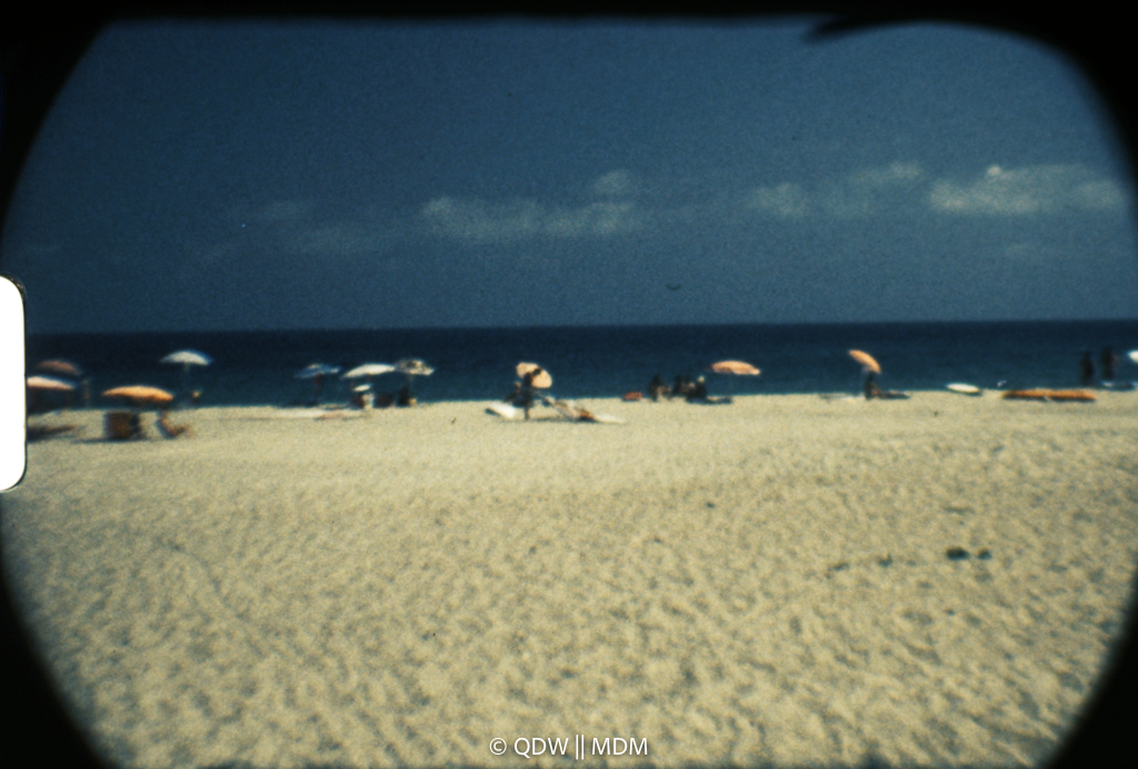 Frame 0499