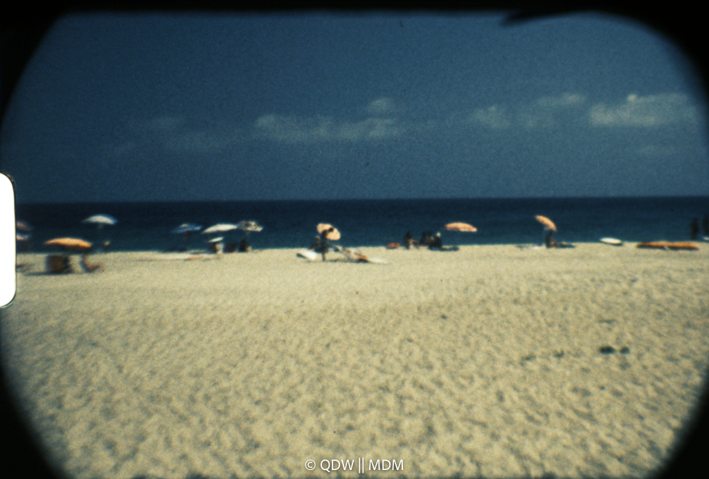 Frame 0506