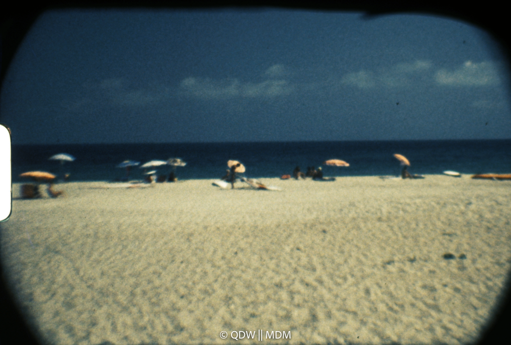 Frame 0509