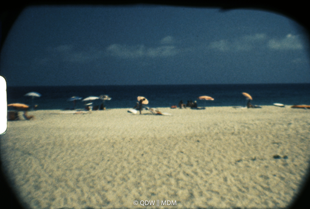 Frame 0510